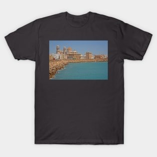 Campo del Sur, Cadiz, May 2022 T-Shirt